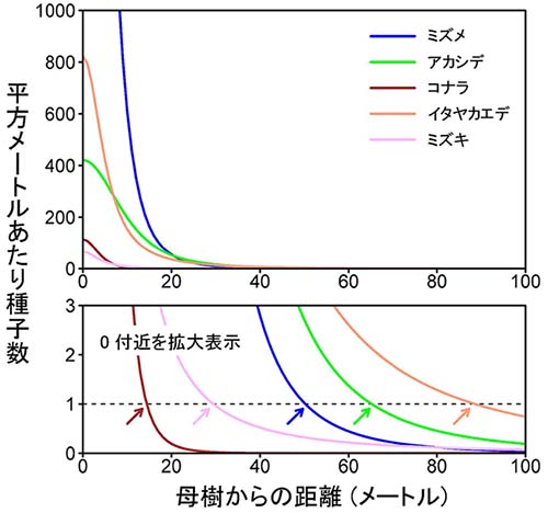 図：1本の母樹からの距離にともなう落下種子数の予測値