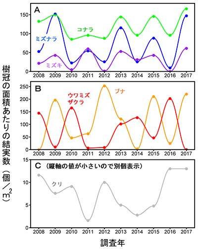図2：主な6樹種の結実の年変動