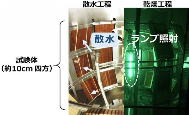 写真：試験の様子