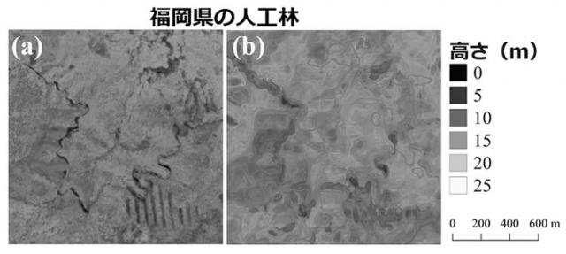 図1：画像の利用による森林の高さ推定値