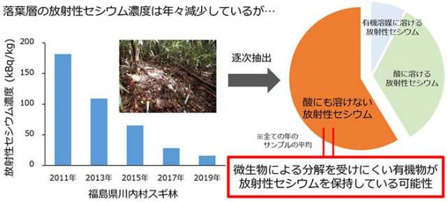 図：落葉層の放射性セシウム濃度の時間変化とその内訳