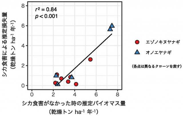 図：エゾシカ食害がなかった時の推定バイオマス量とシカ食害による推定バイオマス損失量の関係
