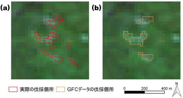 図：実際の伐採個所とGFCデータで特定された伐採個所の比較