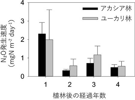図：アカシア林とユーカリ林の土壌からのN2O発生速度