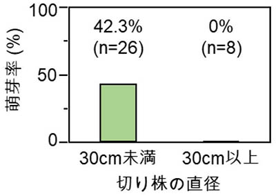 図：Dipterocarpus obtusifoliusの萌芽能力と切り株の大きさの関係