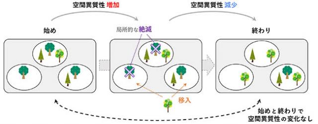 図2：空間異質性の時間変化の例