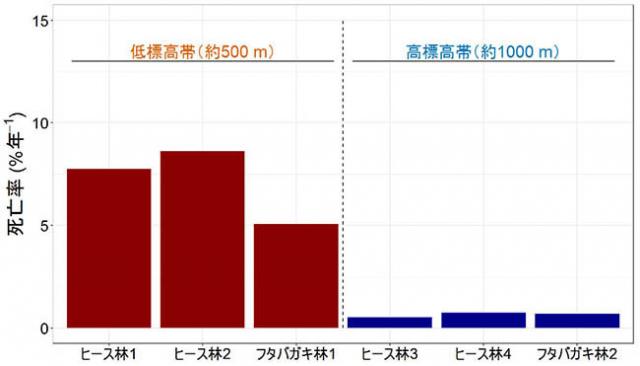 図：標高帯と森林タイプ別の年間死亡率の比較
