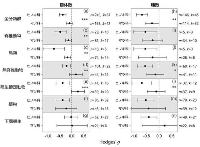 図：植栽樹種が人工林の生物多様性に及ぼす影響