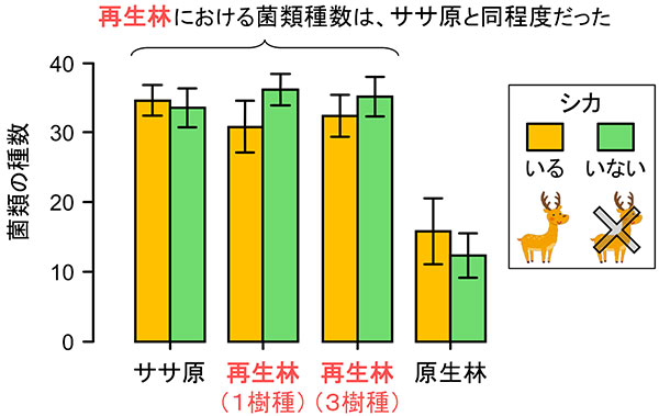 図：ササ原と再生林、原生林での土壌中の菌類の種数の比較