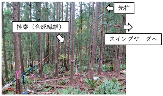 図2：先柱を固定する合成繊維の控索