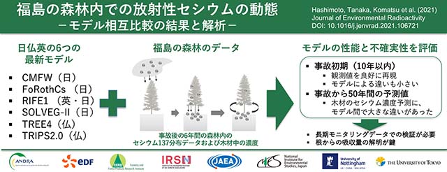 図2：論文の全体像と得られた結果の模式図