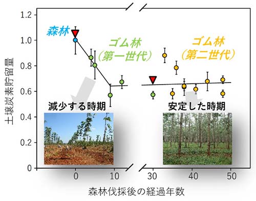 図：土地利用の変化に伴う土壌炭素貯留量の変化