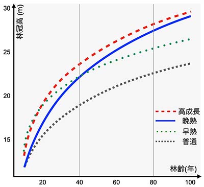 図1：成長タイプの類型化