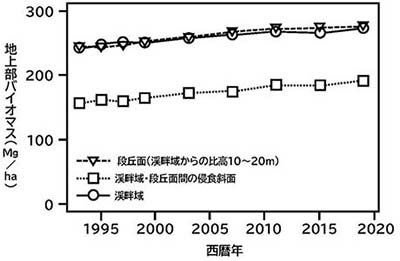 図：26年間の地上部バイオマスの変化