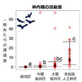 図2：各実験区におけるコウモリ類林内種の活動量