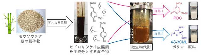 図 モウソウチクの茎の粉砕物をポリマー原料に変換