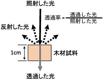 図 木材の透過率の測定方法