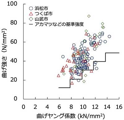 図：コウヨウザンの曲げヤング係数と曲げ強さとの関係