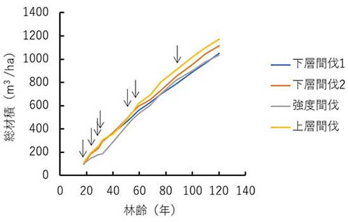 図：総材積の経年変化