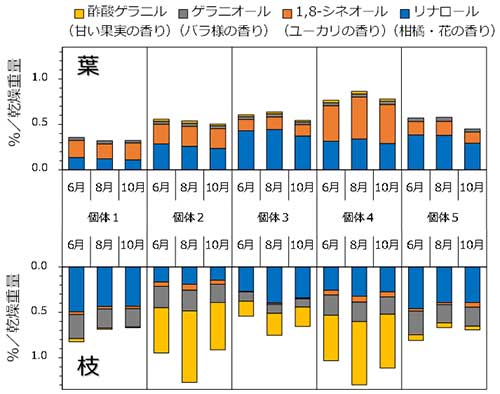 図：クロモジに含まれるテルペノイド化合物の含有割合と季節変動