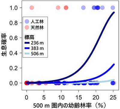 図：半径500m圏内の幼齢林率がヨタカの生息確率に及ぼす影響
