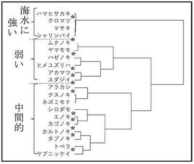 図：耐塩性で分類された20樹種