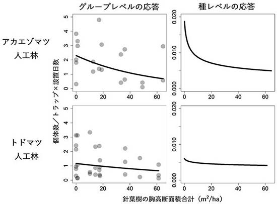 図：針葉樹の量が森林性オサムシ類の捕獲個体数に及ぼす影響