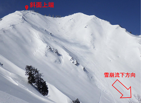 写真：雪崩発生の2年後に撮影した雪崩発生域の写真