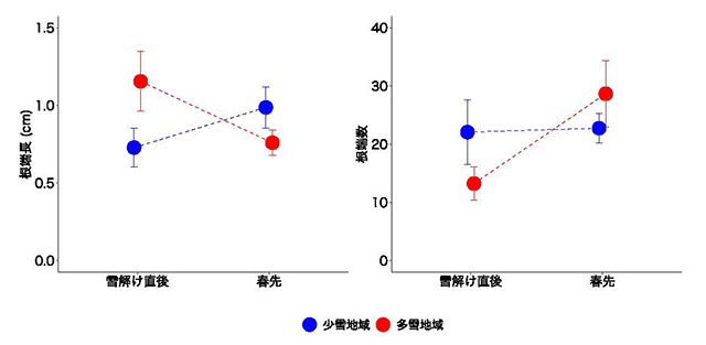 図：異なる地域に由来する苗木の根の変化