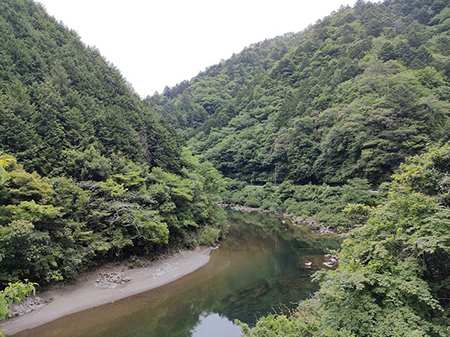 写真1：鷹取試験地