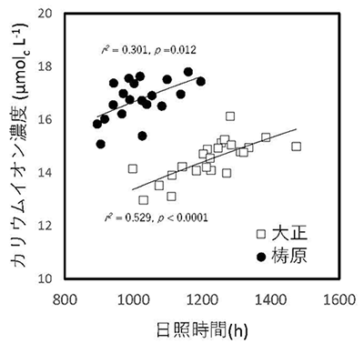図1：生育期間の日照時間と渓流水質のカリウムイオン濃度の関係