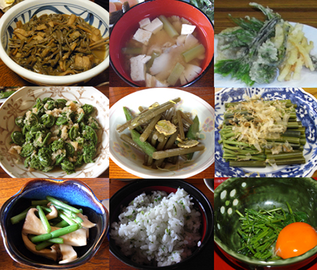 写真：多彩な山菜料理