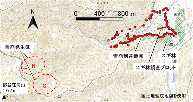 図：雪崩の発生区と堆積区の地形図