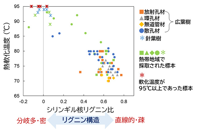 図 木材標本41樹種87個体の熱軟化温度とリグニン構造の関係
