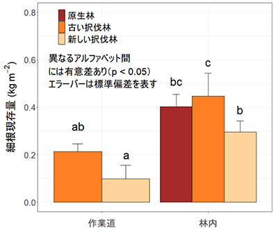 図：細根現存量の比較
