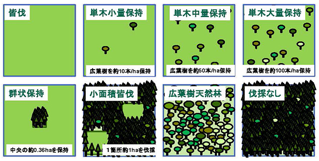 図1：保持林業の実証実験