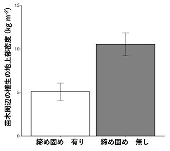 図1：苗木周辺に繁茂した植生の地上部密度に対する土壌の締め固めの影響