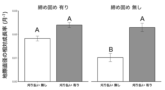 図2：土壌の締め固めと植生の刈り払いがトドマツ苗木の成長に及ぼす影響