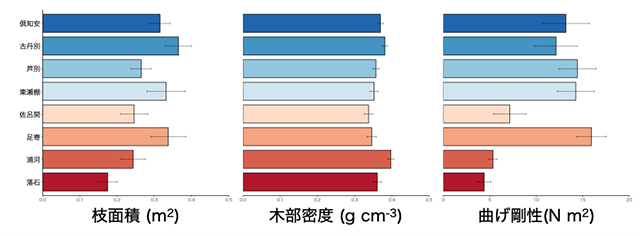 図：由来地域によって異なる枝の面積、木部密度、曲げ剛性