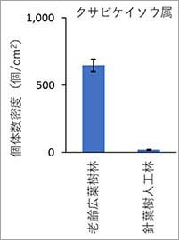 図1：クサビケイソウ属