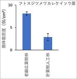 図2：フトスジツメワカレケイソウ属