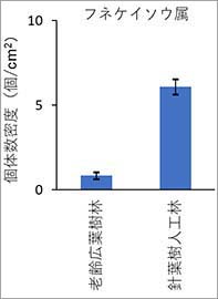 図3：フネケイソウ属