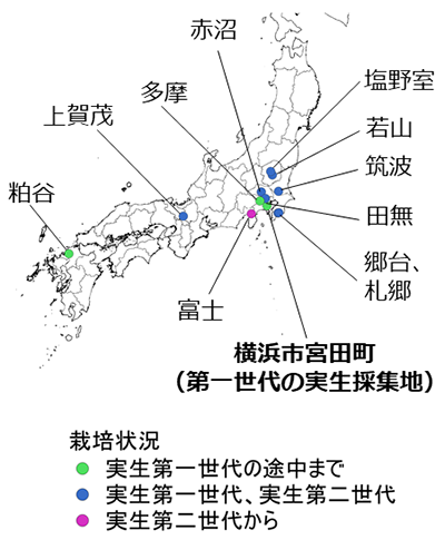写真1：本研究で調査したモウソウチク系統の試験地一覧