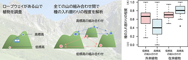 図：全ての山の組み合わせ間で種の入れ替わりの程度を解析