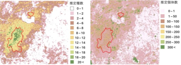 バリクパパン市の地図上にフン虫類の種数と固定数のデータを表す