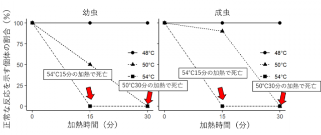 図：加熱時間と正常な反応を示す個体の割合を示すグラフ