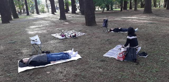 写真：都市公園内の樹林での森林浴体験の様子