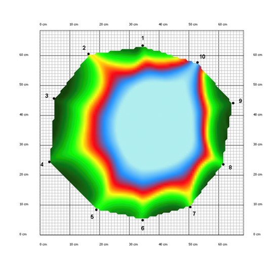 診断機器により幹の中心の空洞部分が水色に色分けされている