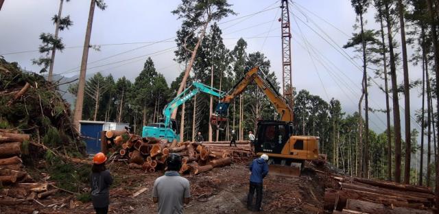 森の中で大型の林業機械が2台で作業している