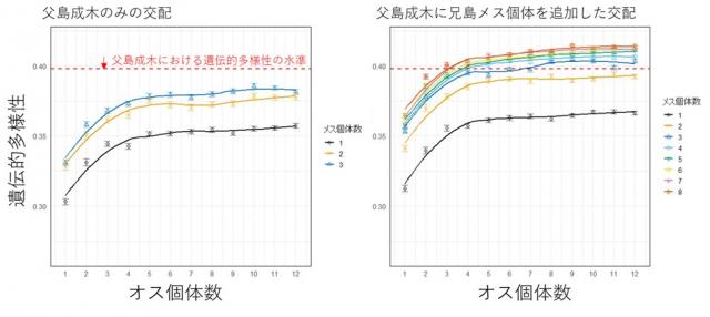 遺伝的多様性のシミュレーション結果のグラフ